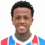 Luiz Gustavo Novaes Palhares