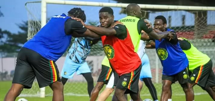 Lions Indomptables : de retour sur le terrain